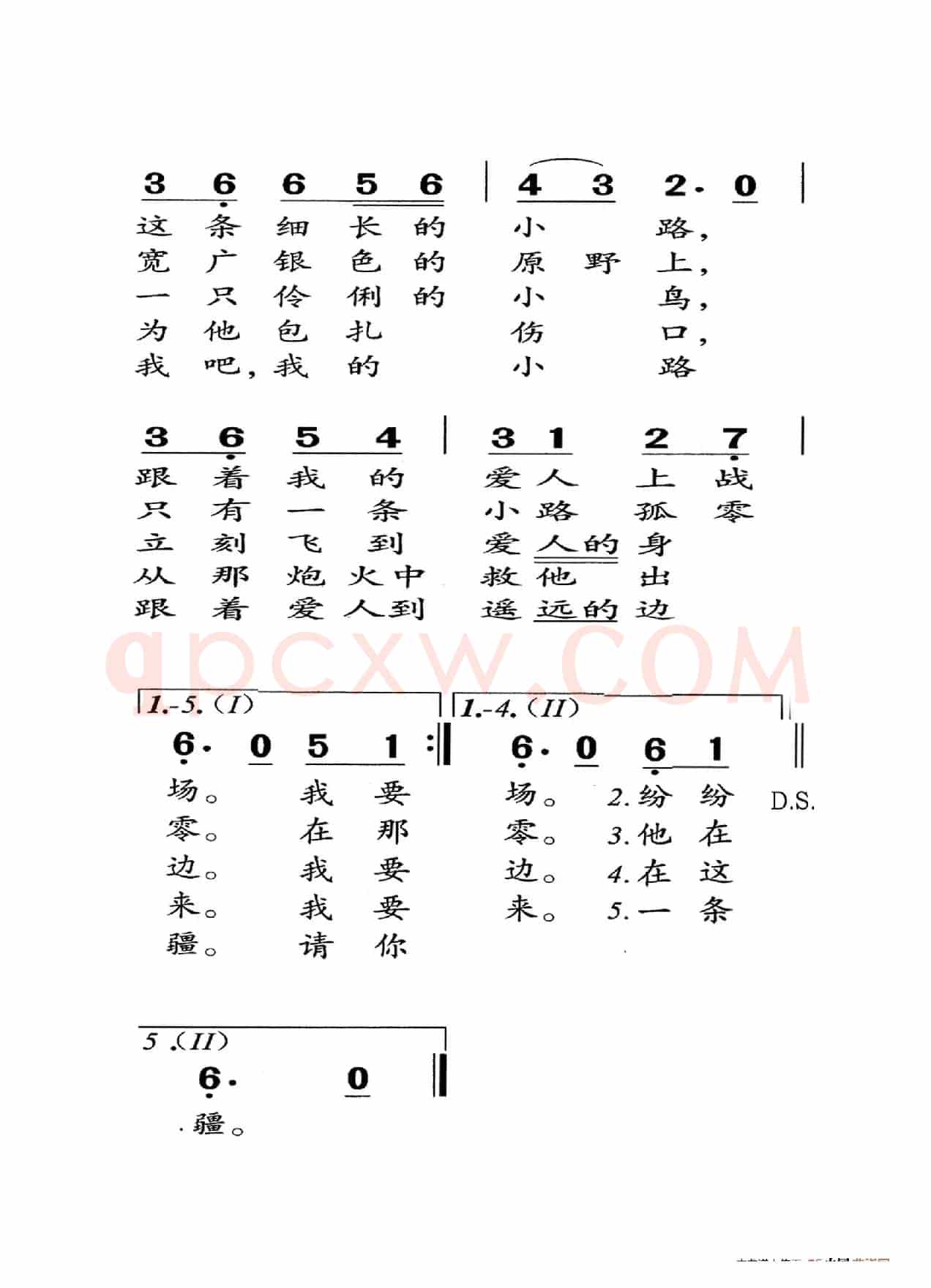 小路（老人适用）