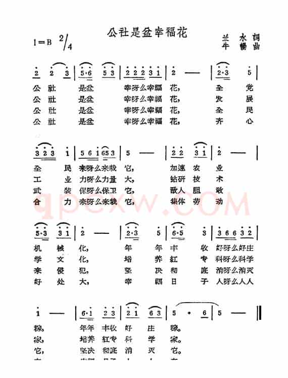 公社是盆幸福花