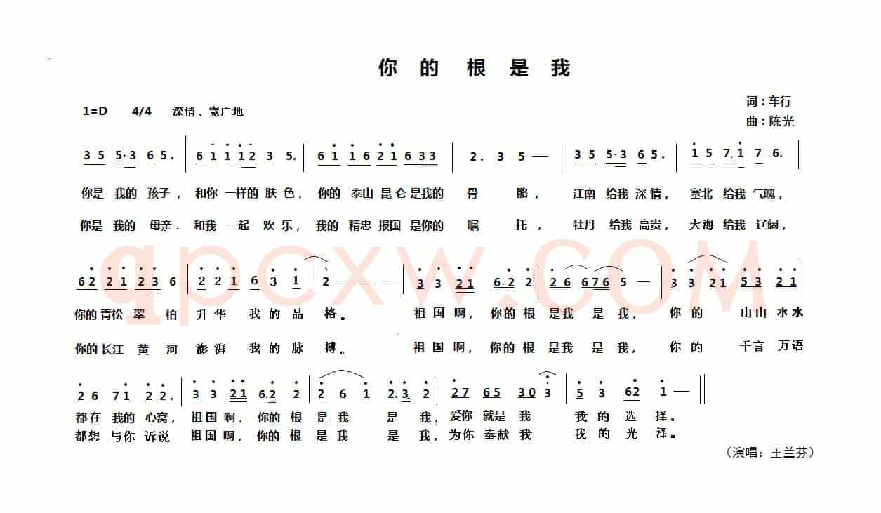你的根是我