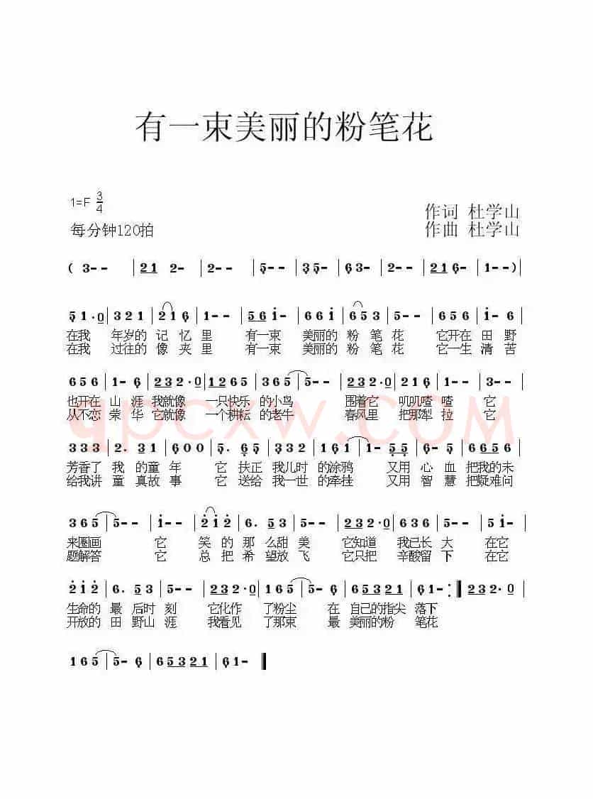 有一束美丽的粉笔花（版本一、3/4拍版）