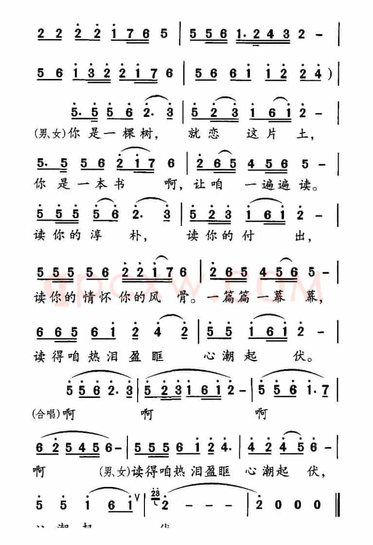 领袖情怀（同名电影主题歌）