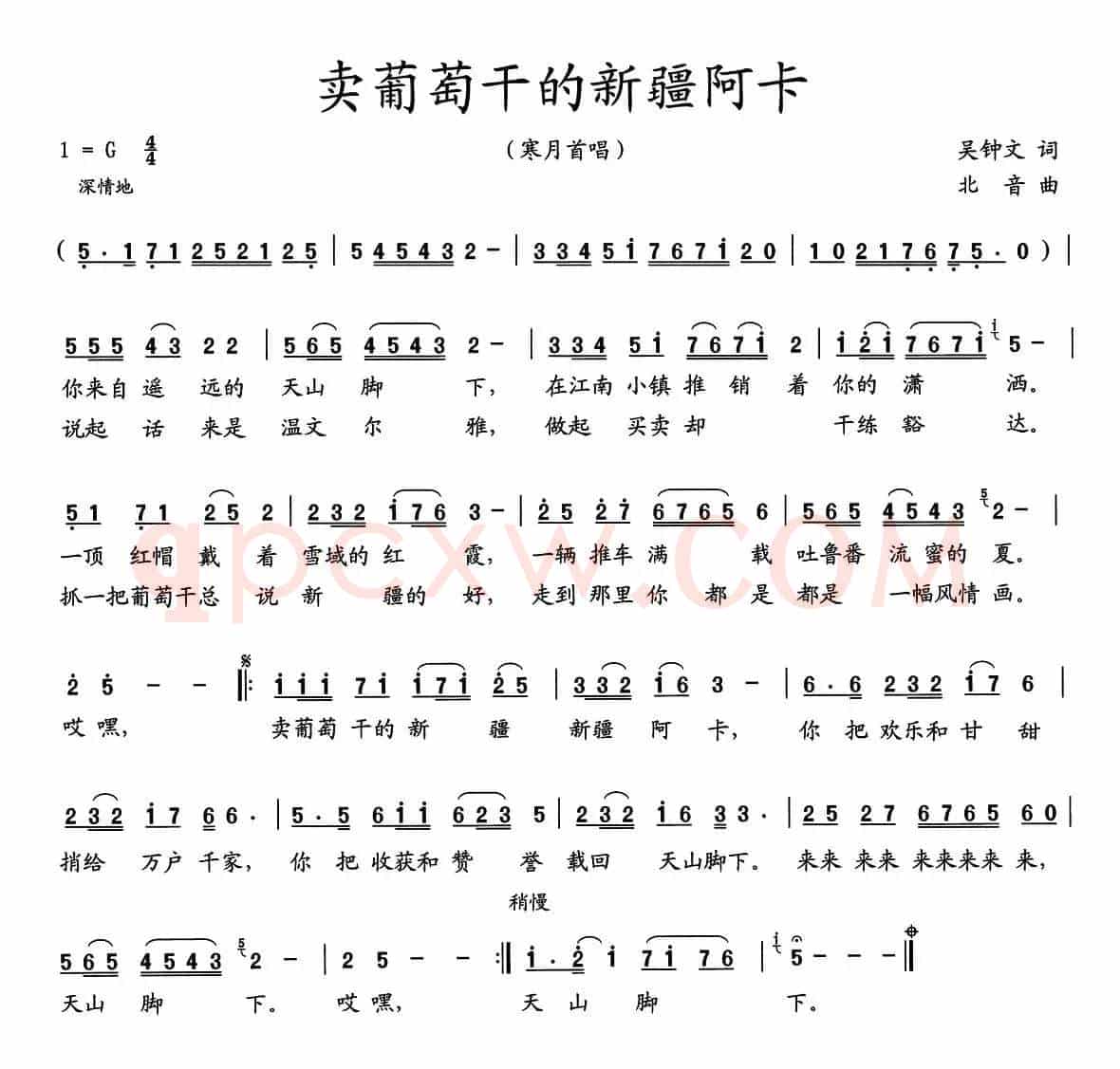 卖葡萄干的新疆阿卡