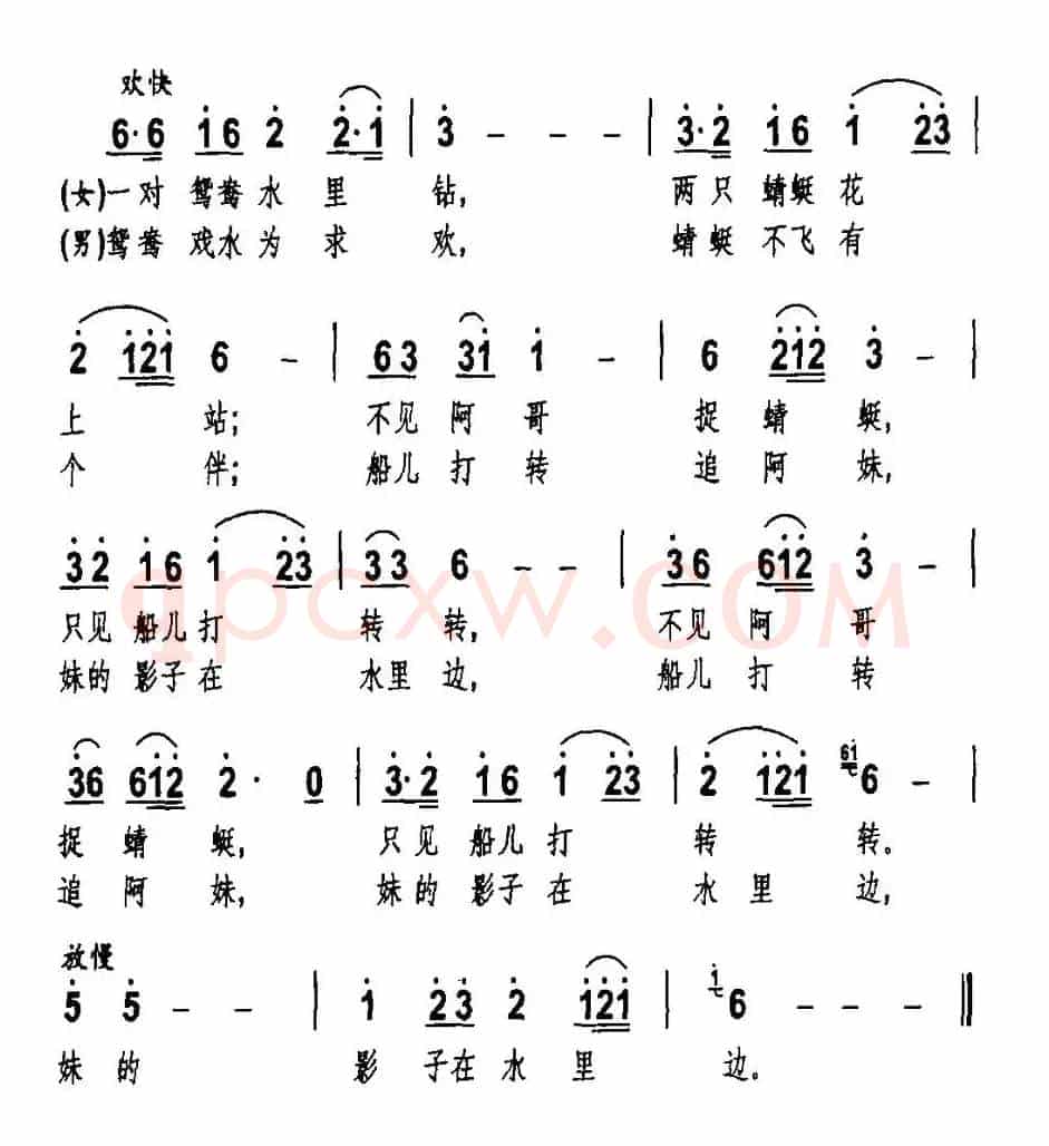 彝族情歌
