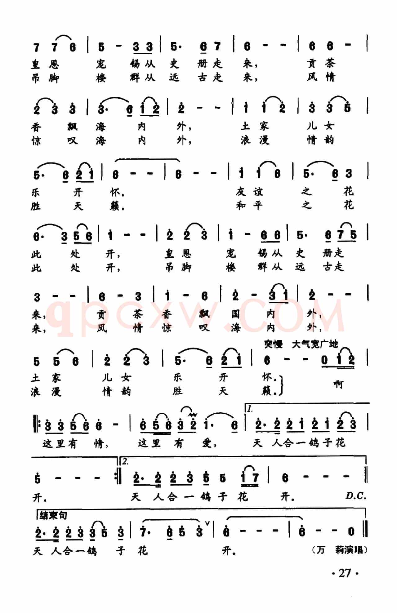 鸽子花开（田词词 杨军曲）