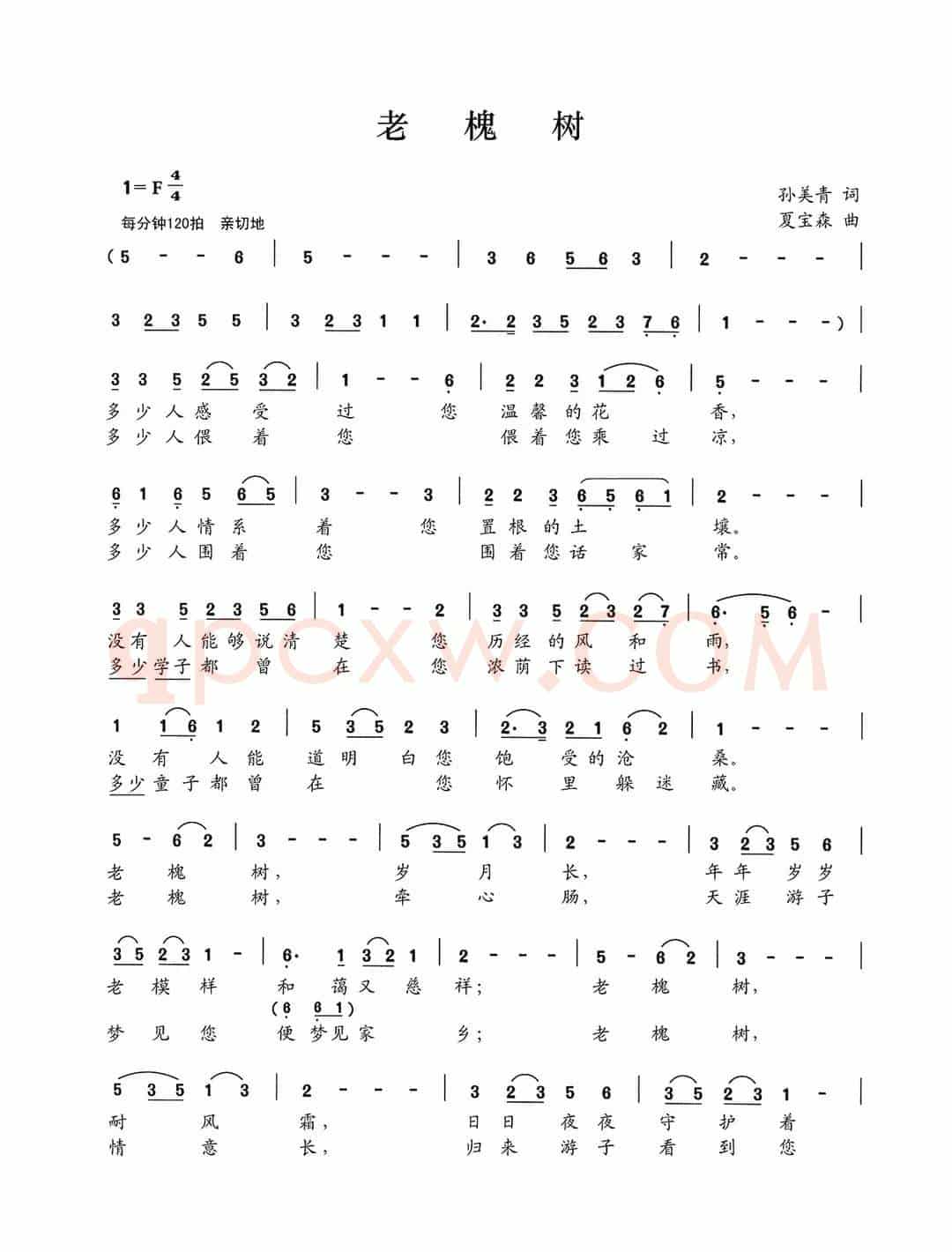 老槐树（孙美青词 夏宝森曲）