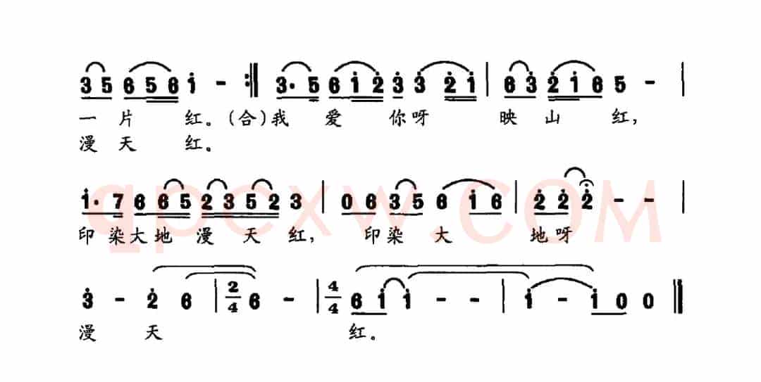 映山红之恋