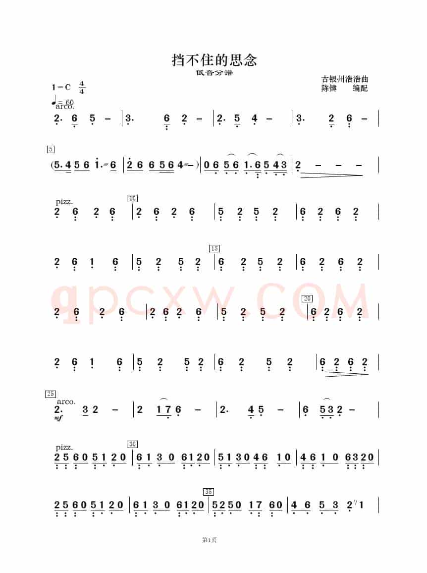 挡不住的思念（民乐合奏）