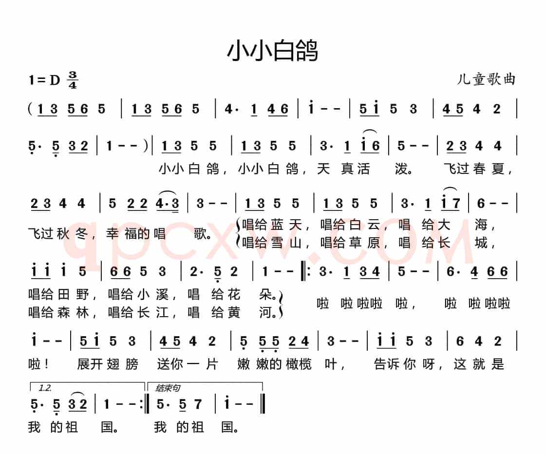 小小白鸽