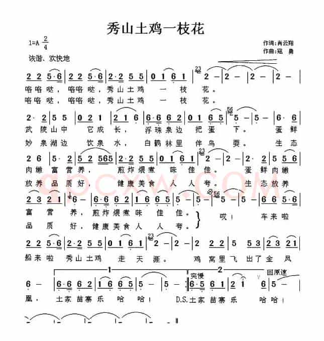 秀山土鸡一枝花