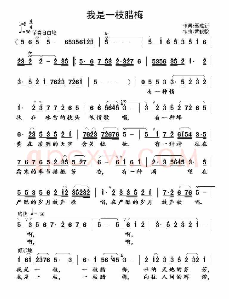 我是一枝腊梅（聂建新词 武俊毅曲）