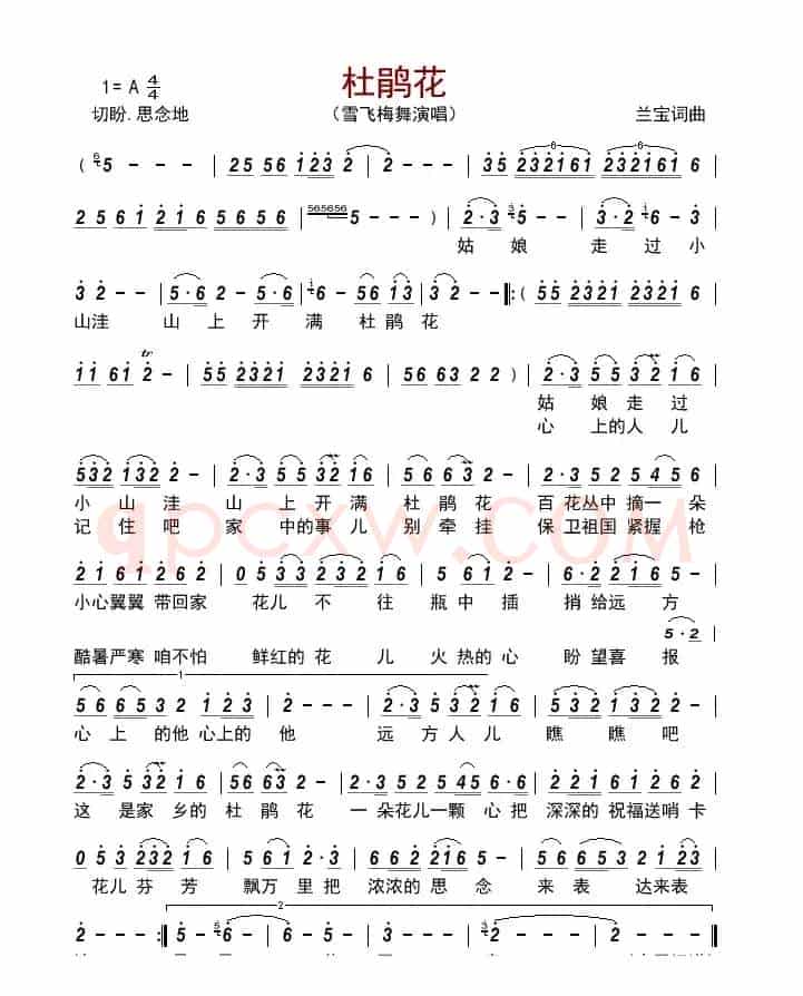 杜鹃花