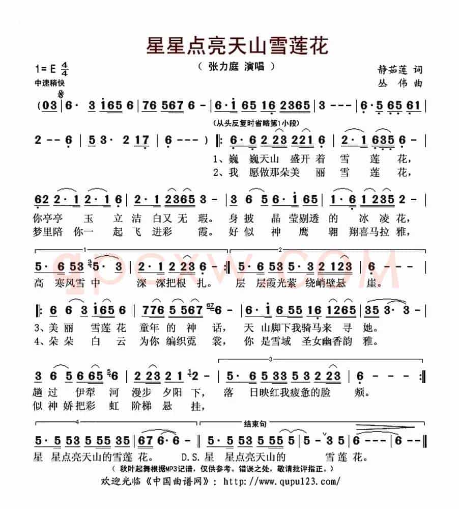 星星点亮天山雪莲花