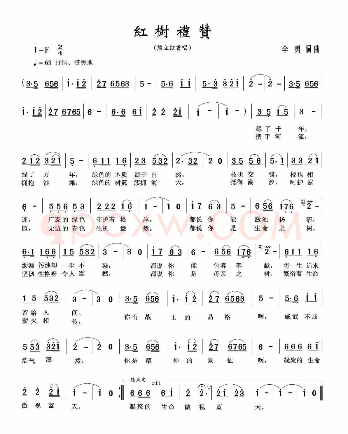 红树礼赞