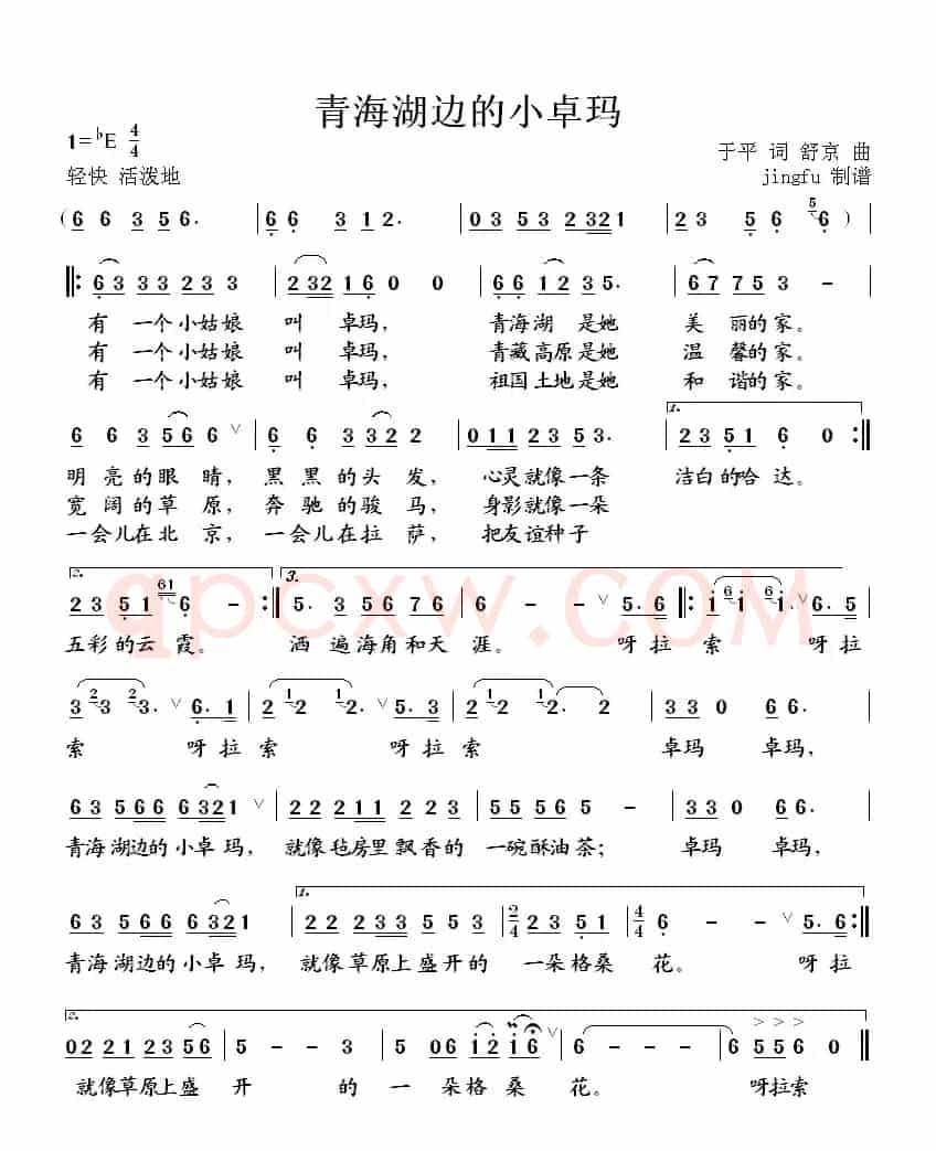 青海湖边的小卓玛
