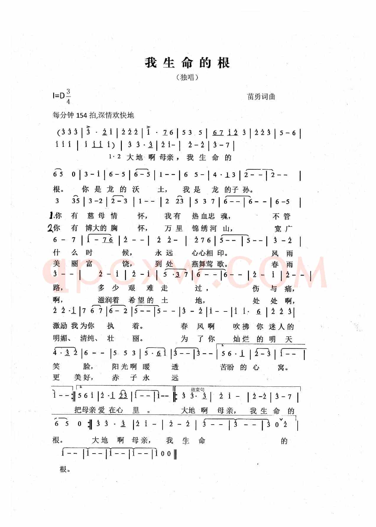 我生命的根