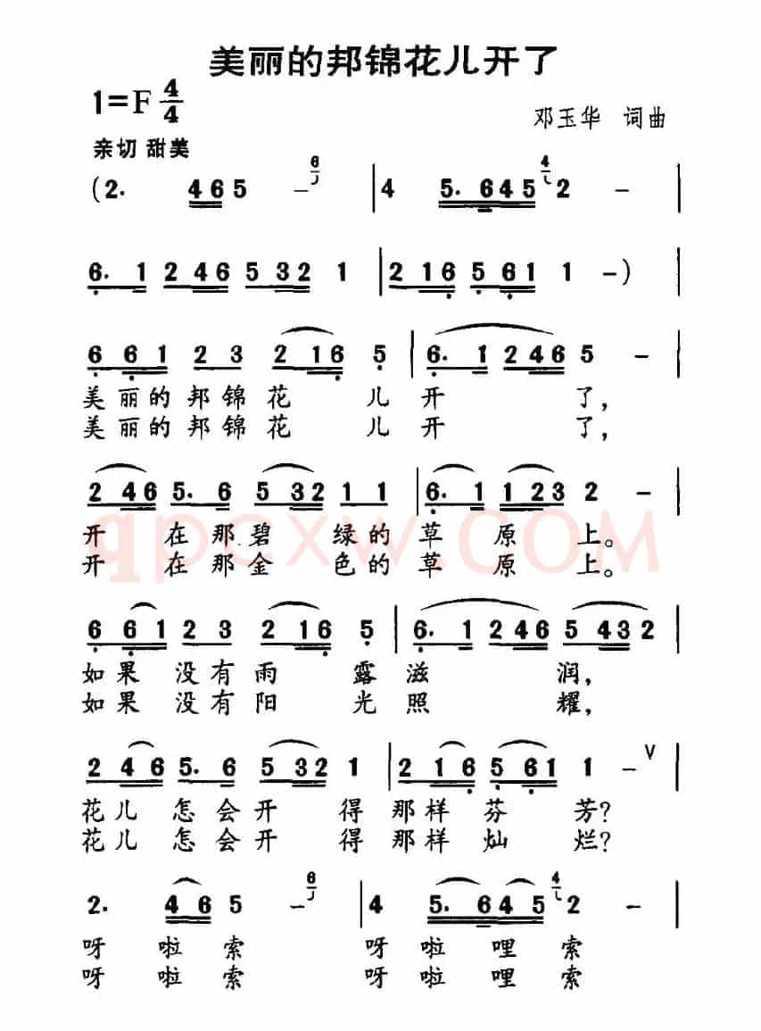 美丽的邦锦花儿开了