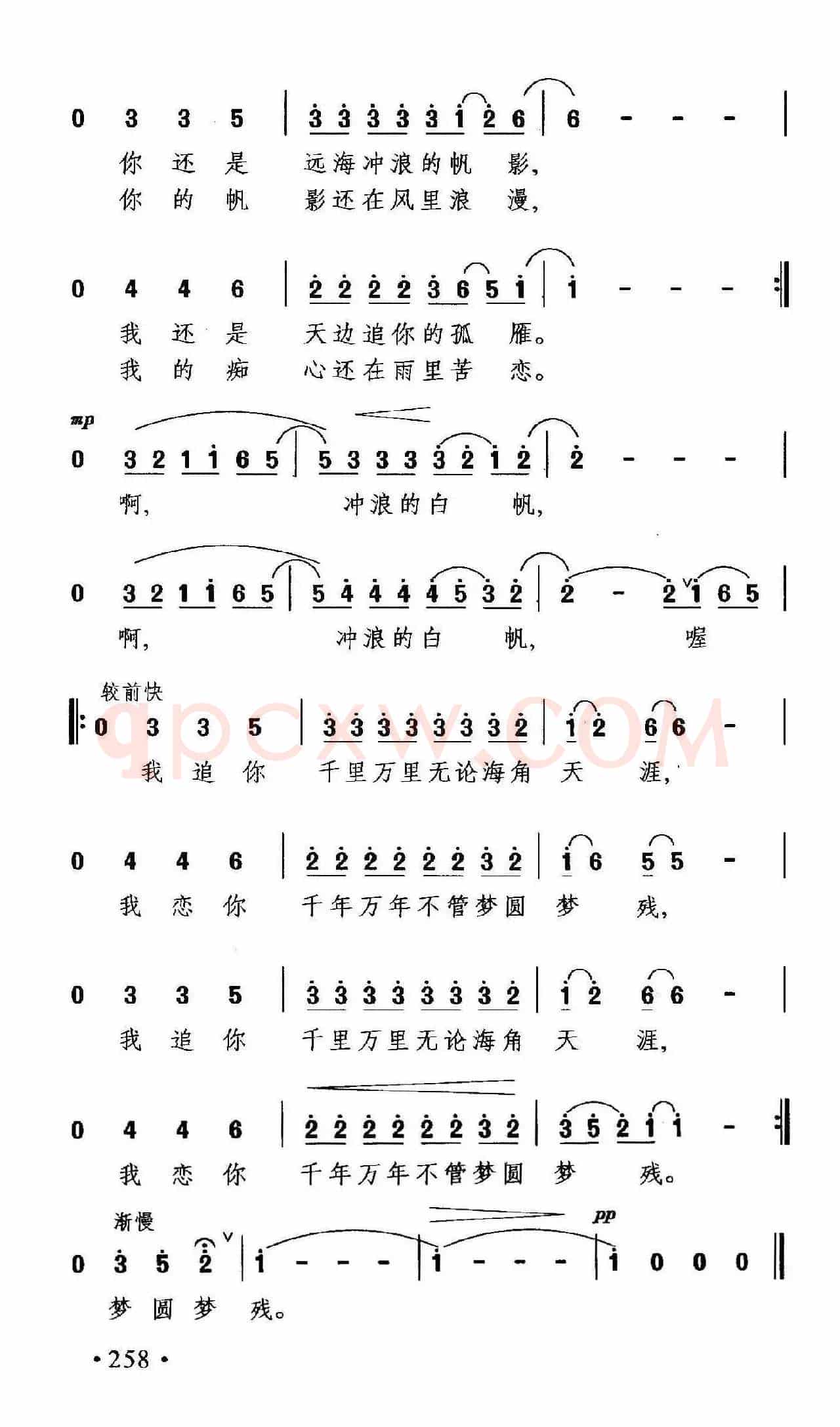 大雁之恋
