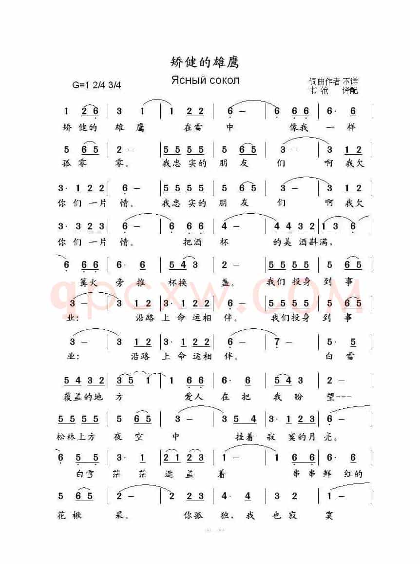 矫健的雄鹰Ясный сокол（中俄简谱）
