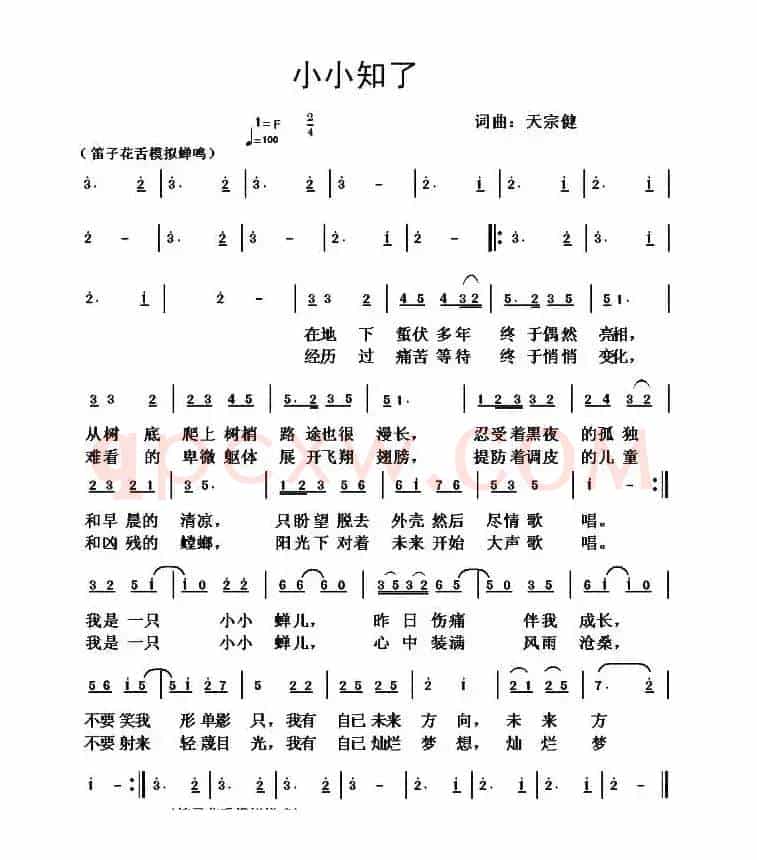 小小知了