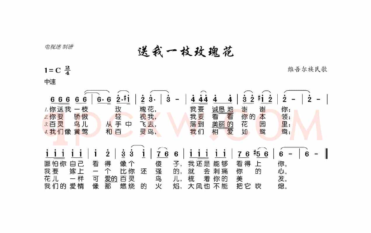 送我一枝玫瑰花（维吾尔族民歌）
