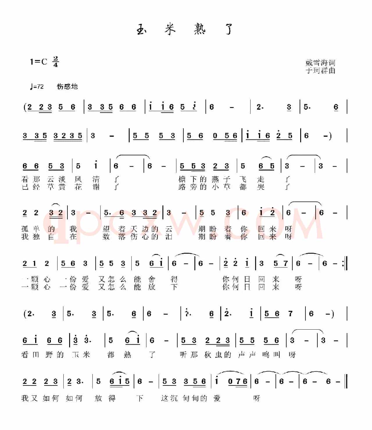 玉米熟了