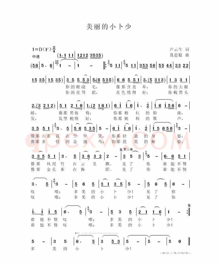 美丽的小卜少