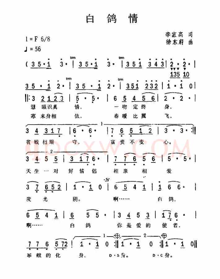白鸽情