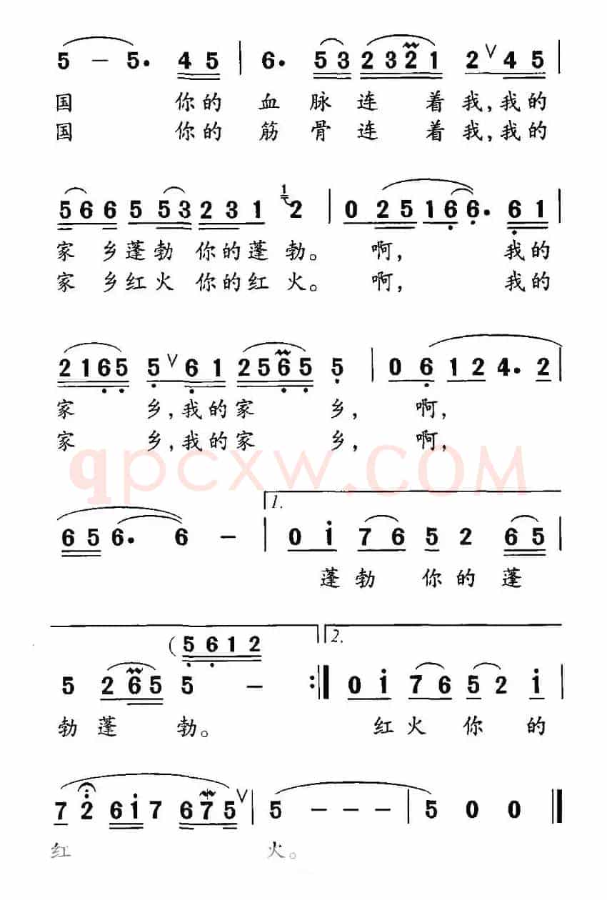 祖国连着我
