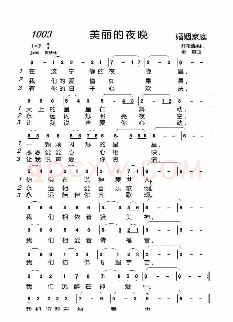 1003 美丽的夜晚(开花结果词 崔英曲)