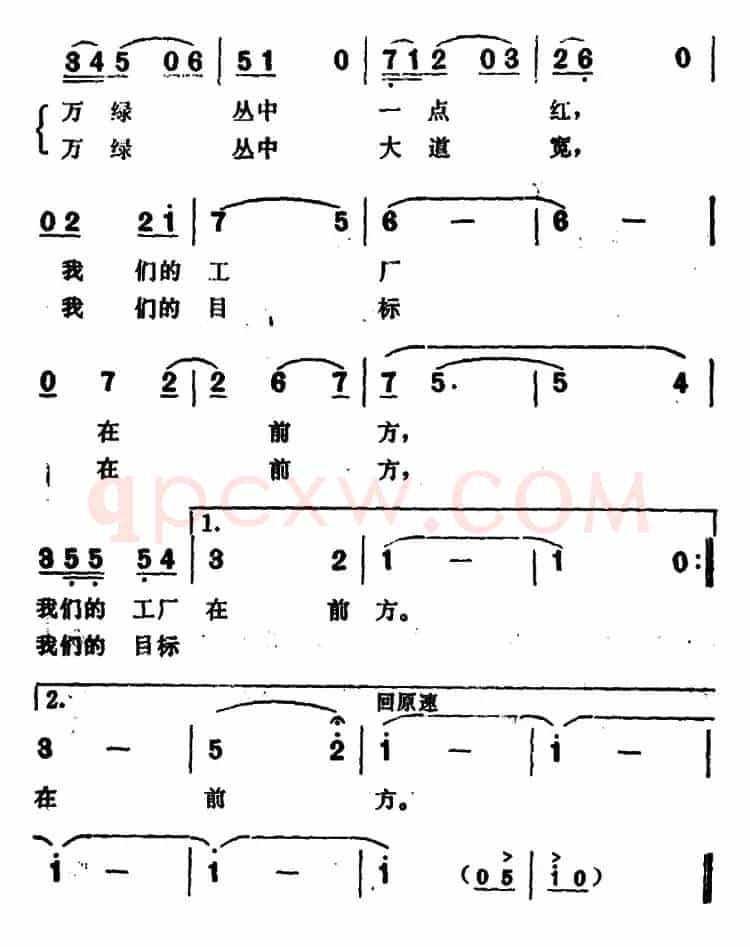 走在林萌大道上