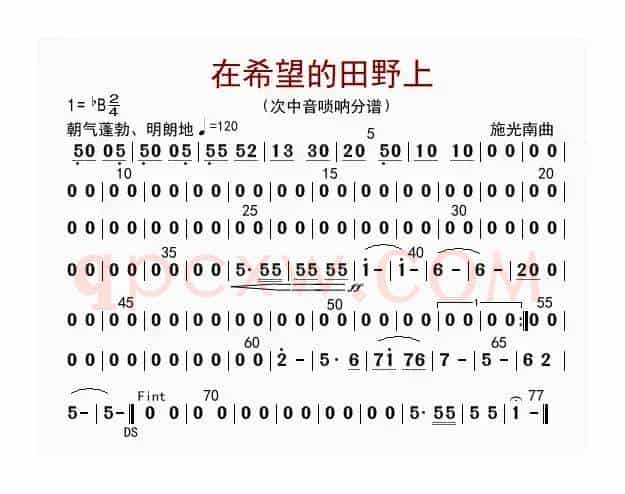 在希望的田野上（次中音唢呐）