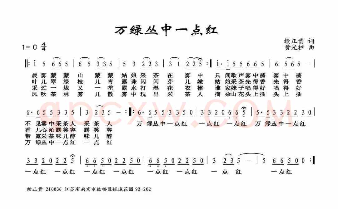 万绿丛中一点红 