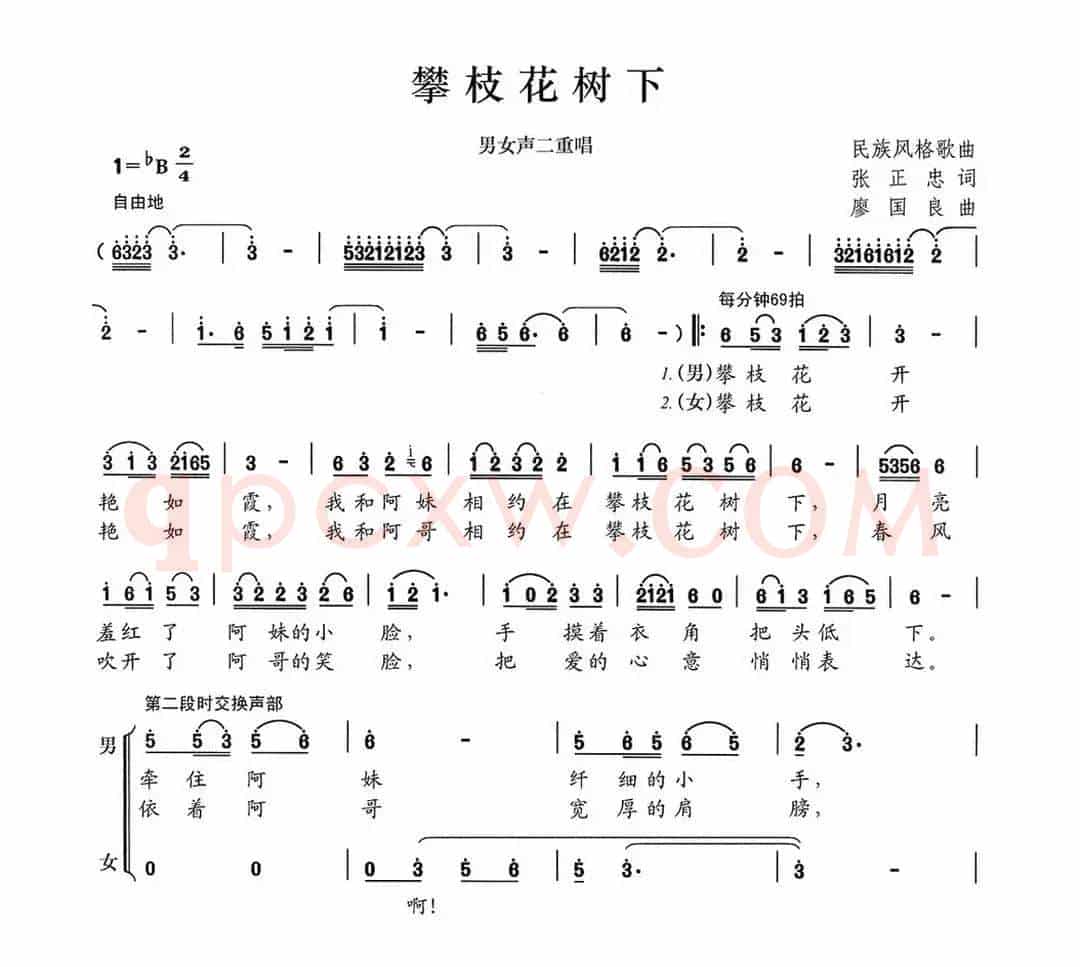 攀枝花树下