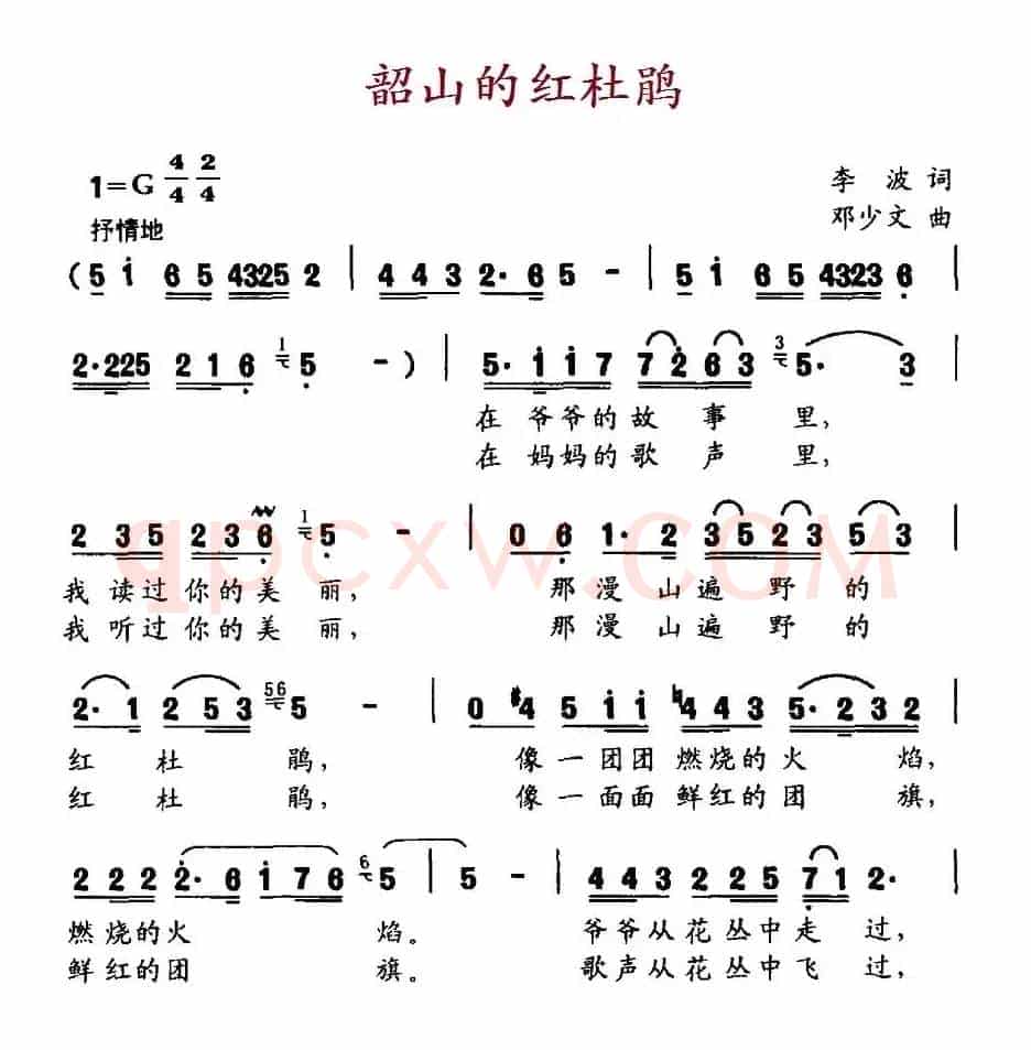 韶山的杜鹃花