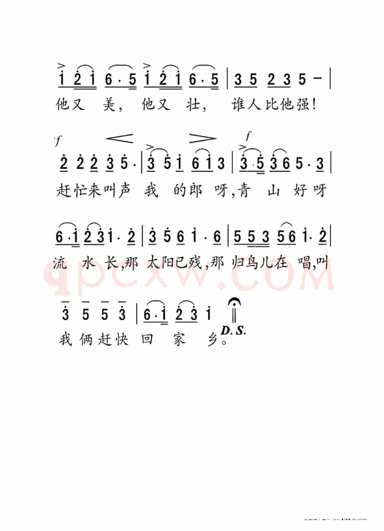 采槟榔（老人适用）