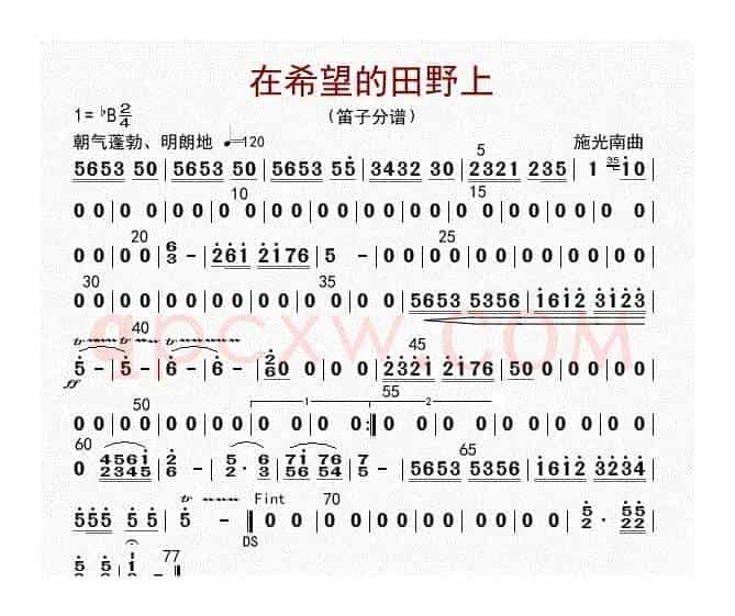 在希望的田野上（笛子分谱）