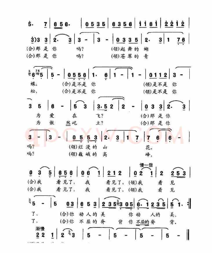 寻找赵一曼