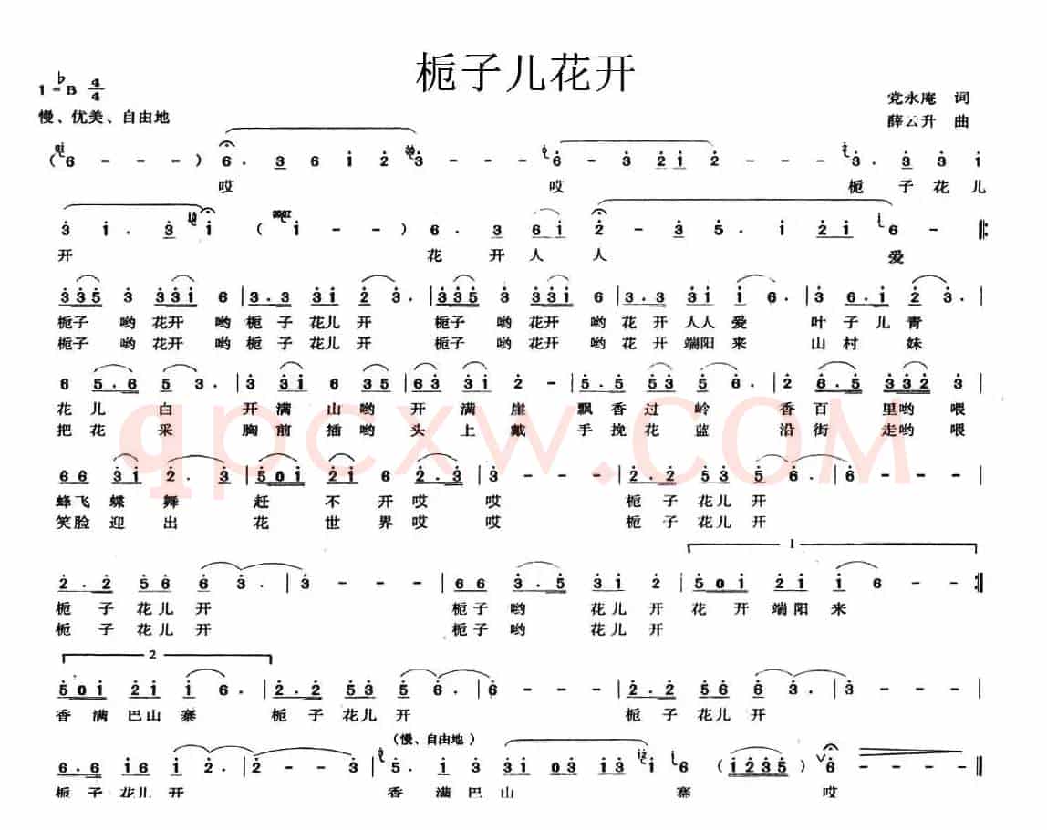 栀子儿花开
