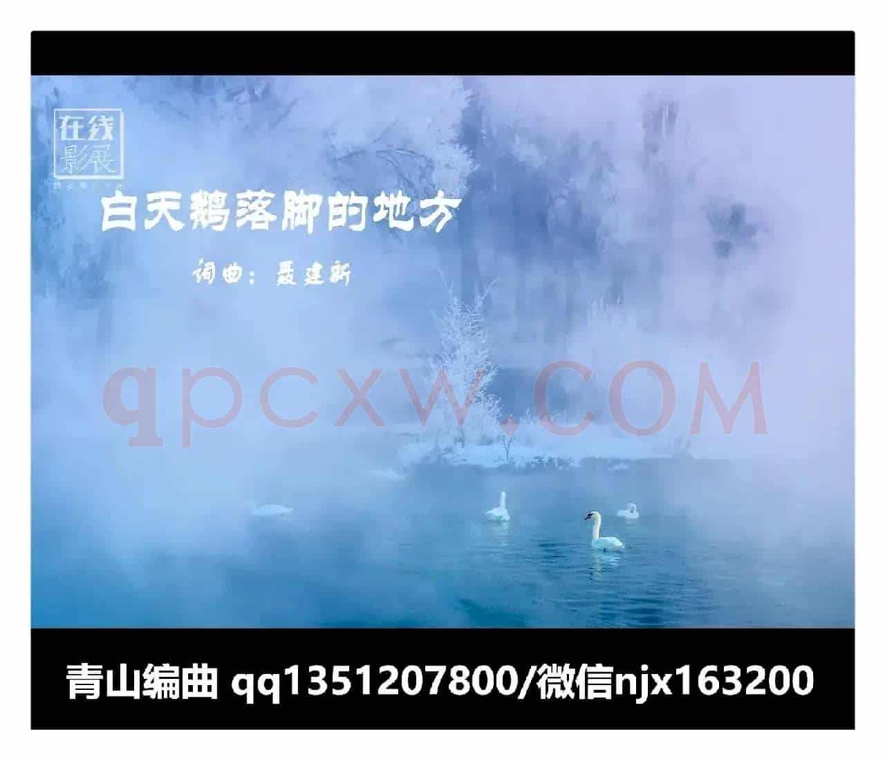 白天鹅落脚的地方