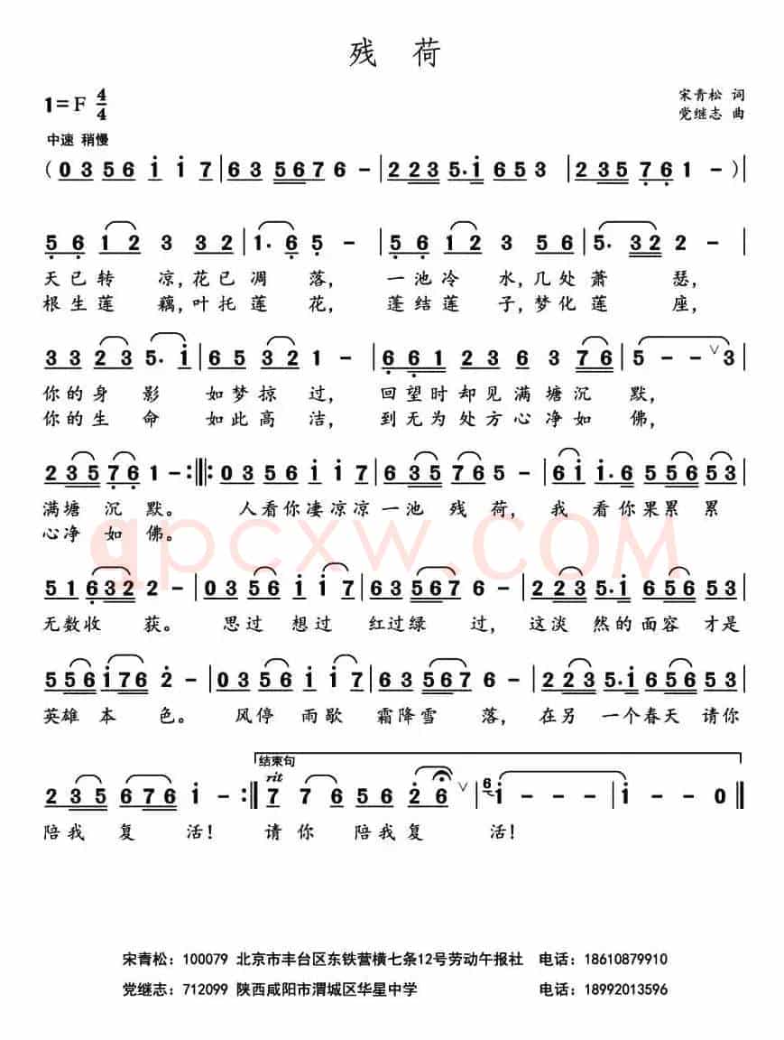 残荷 （宋青松词 党继志曲）