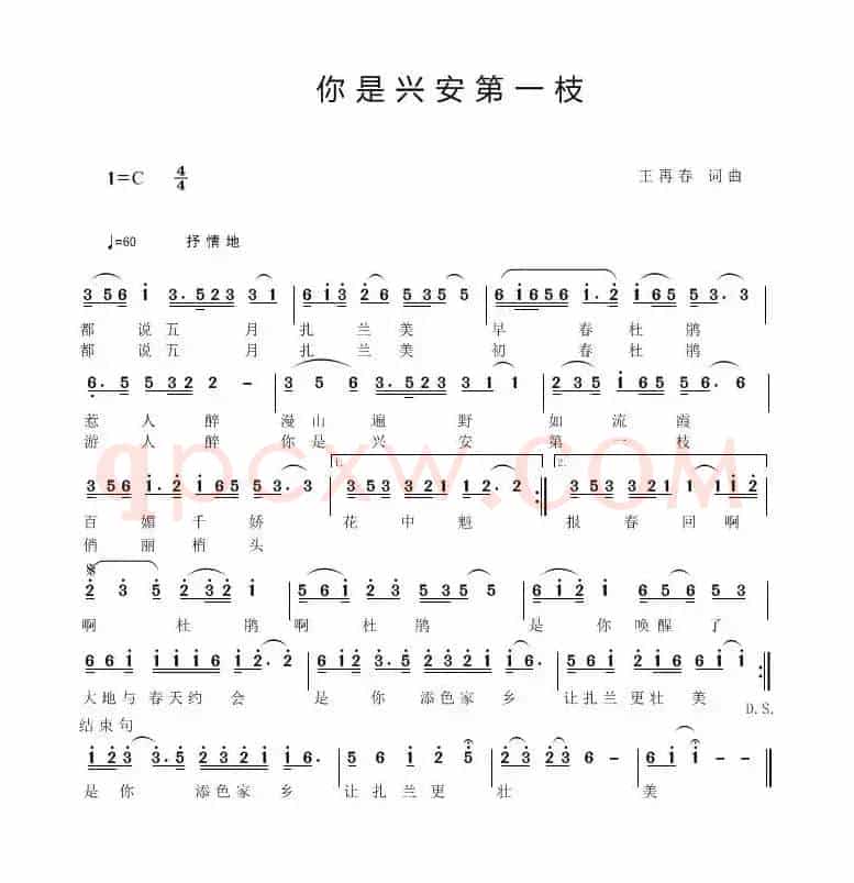 你是兴安第一枝