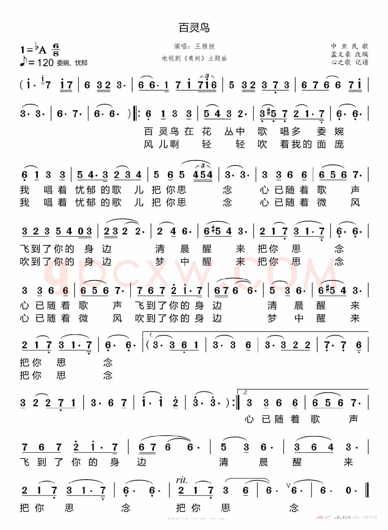 百灵鸟（王雅捷）