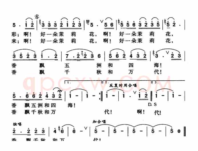 永远的茉莉花