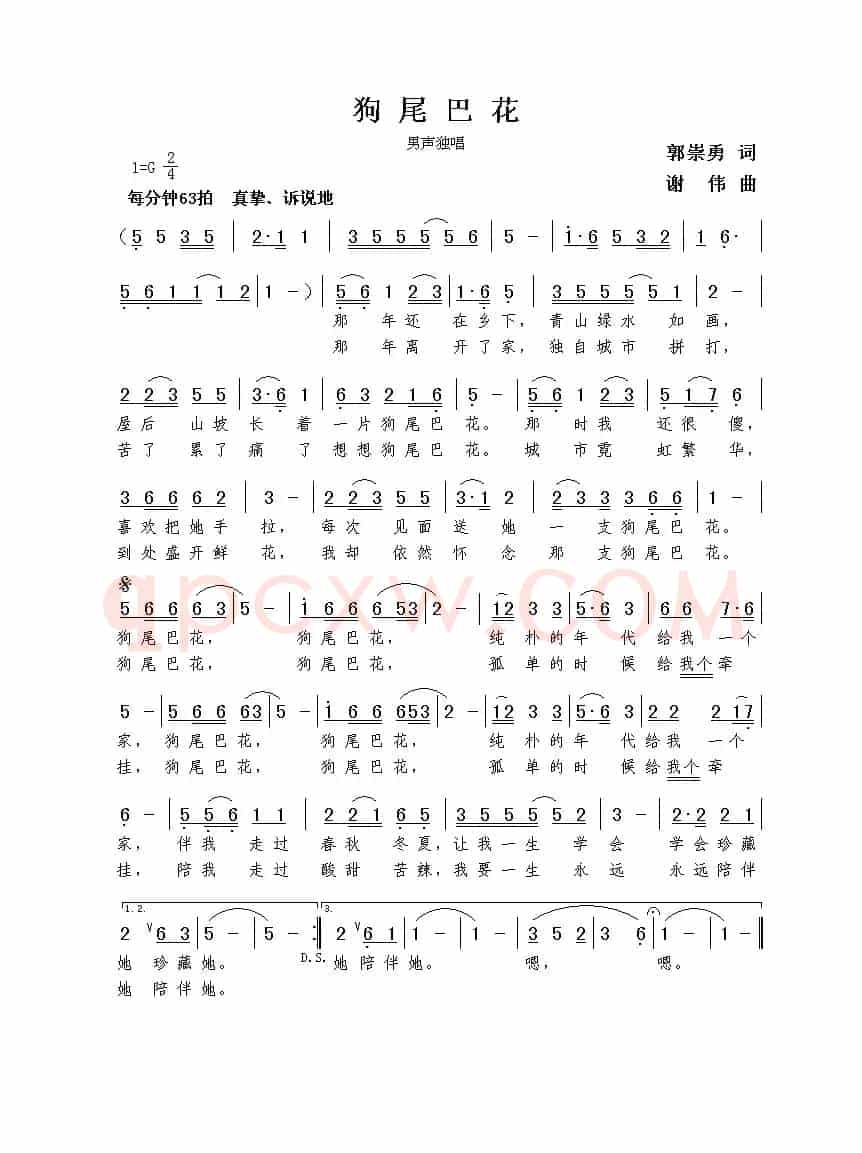 狗尾巴花（郭崇勇词  谢伟曲）