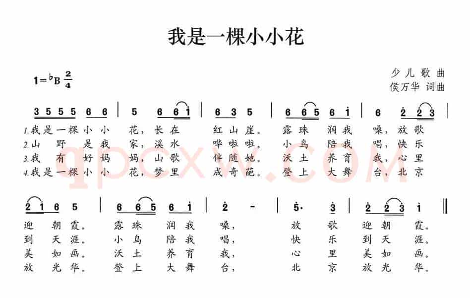 我是一棵小小花