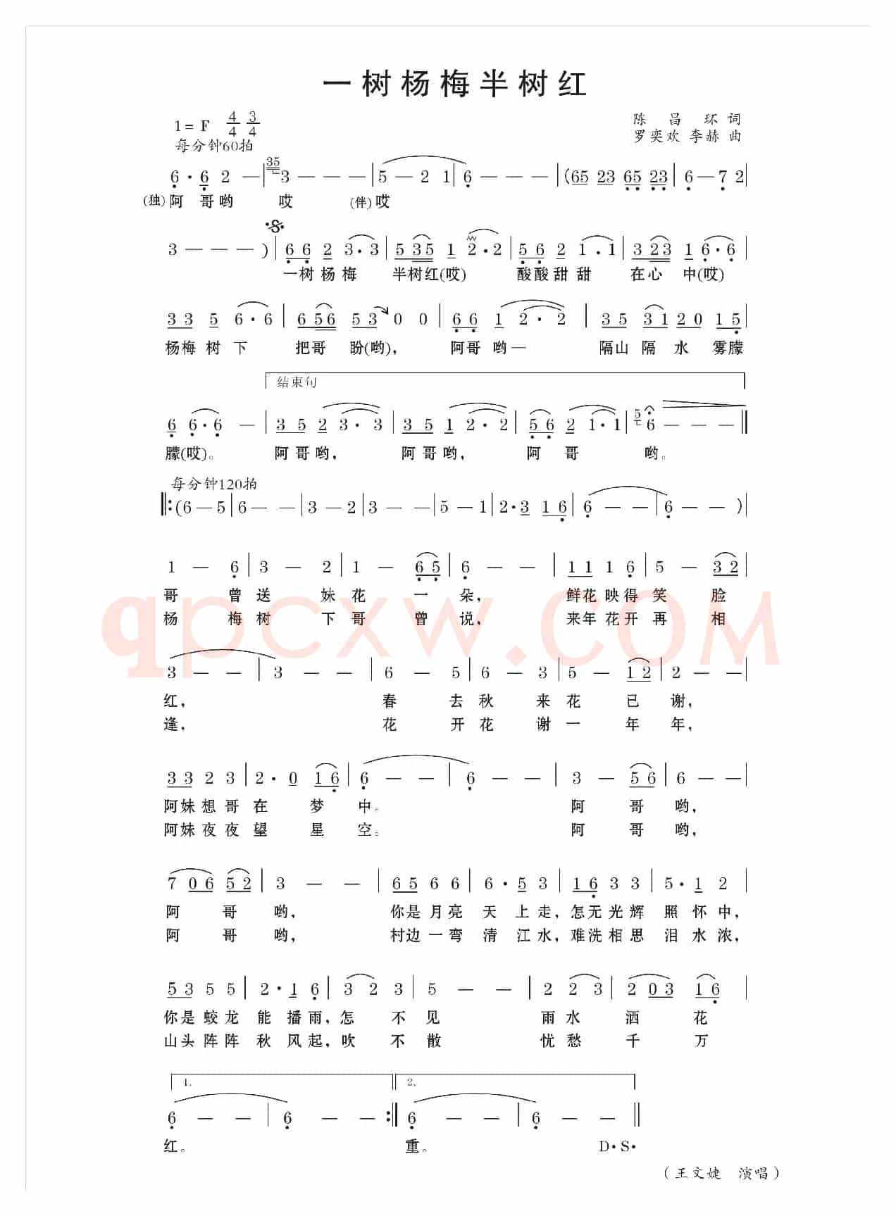 一树杨梅半树红