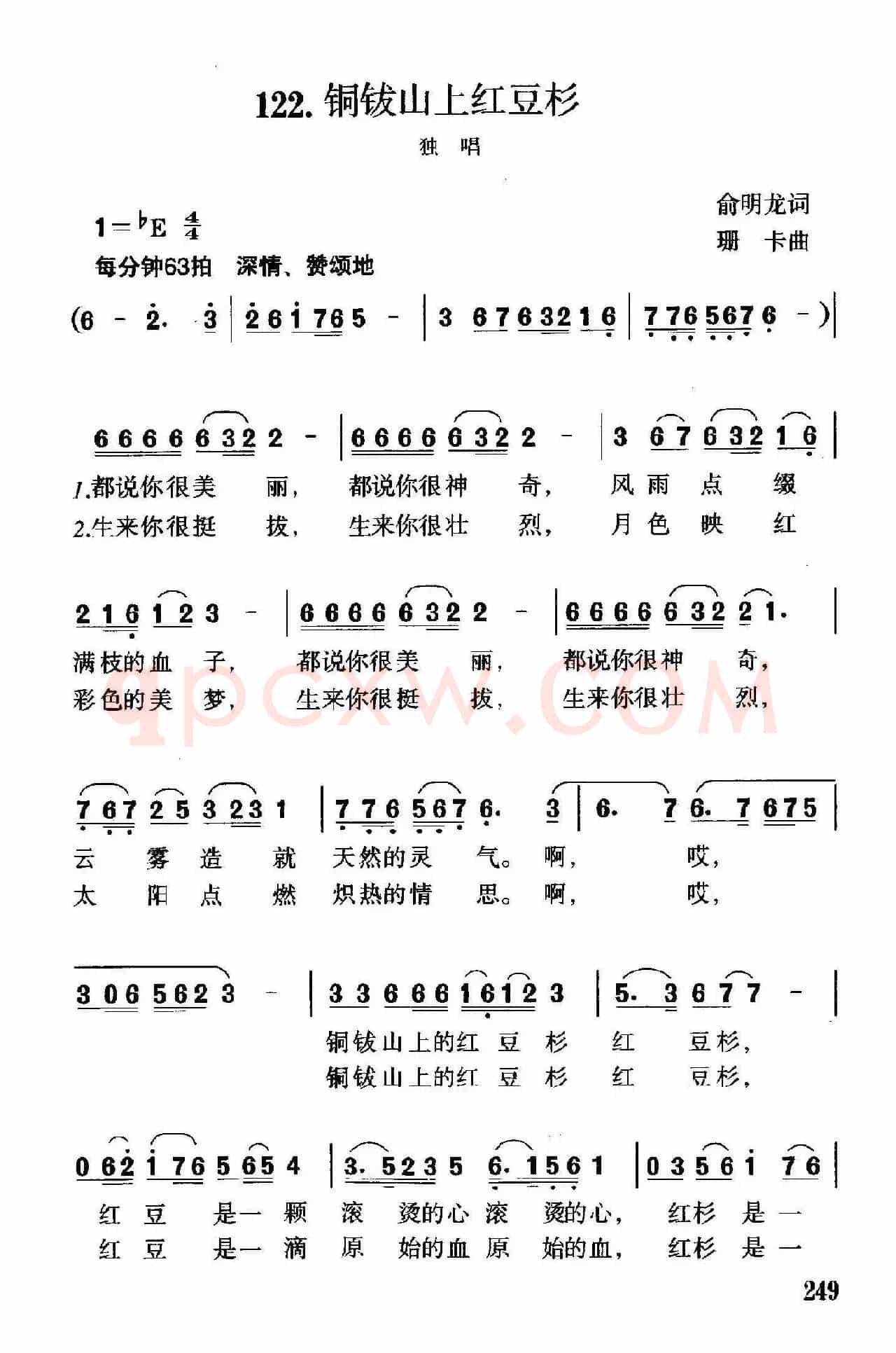 铜钹山上红豆杉