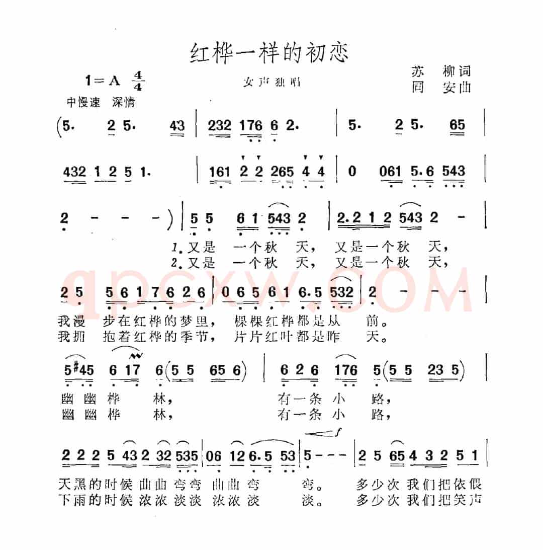红桦一样的初恋