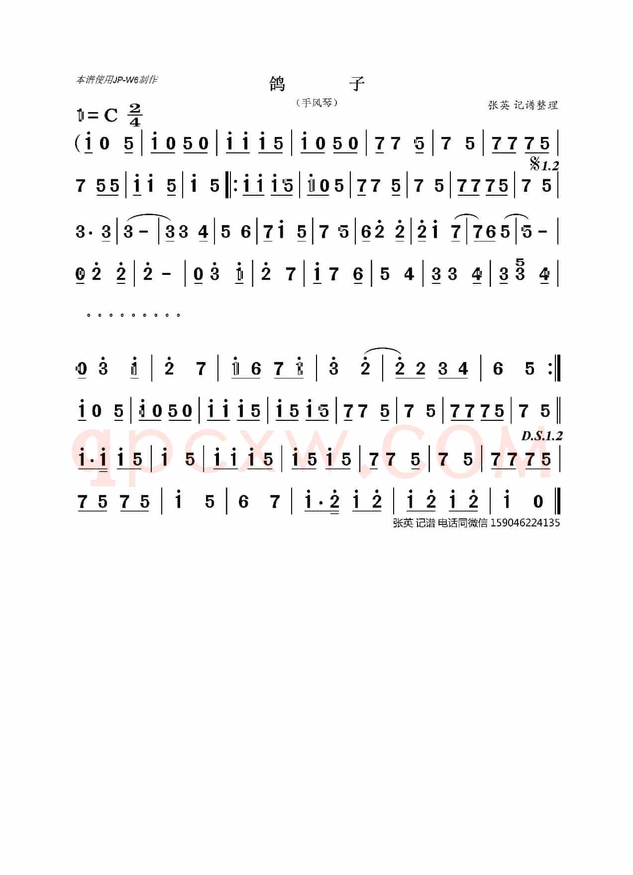 鸽子（手风琴）