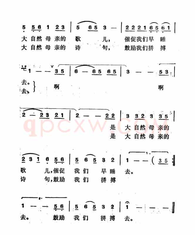 校园的夜雨